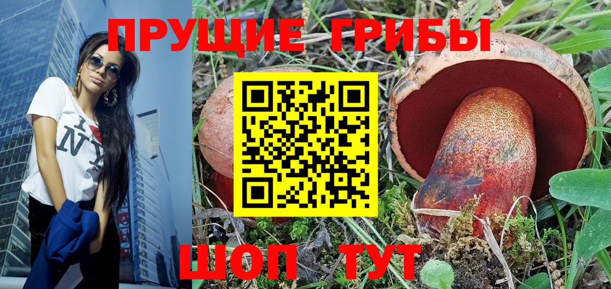 Галлюциногенные грибы прущие грибы Новороссийск